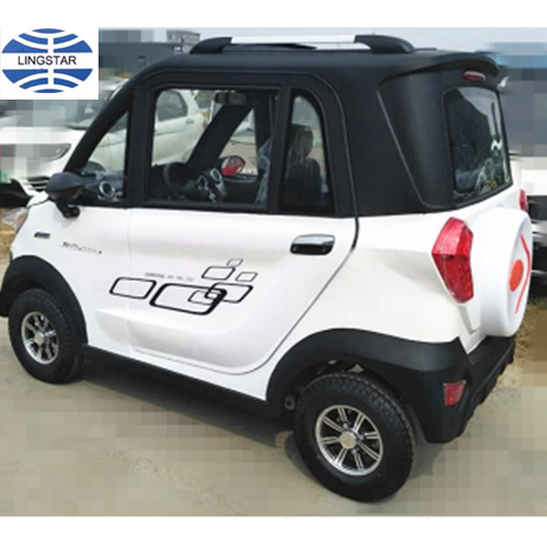 Hot Sell Car Electric Adult 2 Seats for Sale